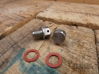 Screw oil drain with magnet