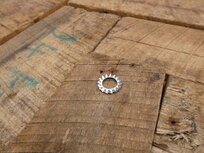 Lock washer shock absorber