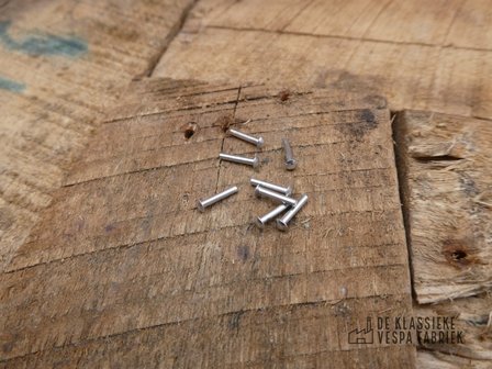 Blind rivets for logo aluminum (10 pieces)