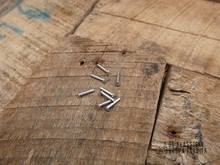 Blind rivets for logo aluminum (10 pieces)