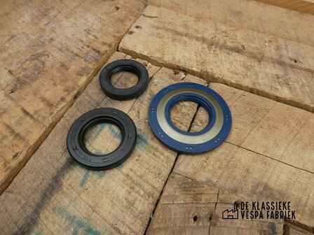 Oil Seal Set engine Rally200