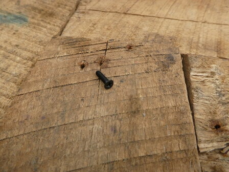 Screw for mounting SIP digital degree unit M2,5x12