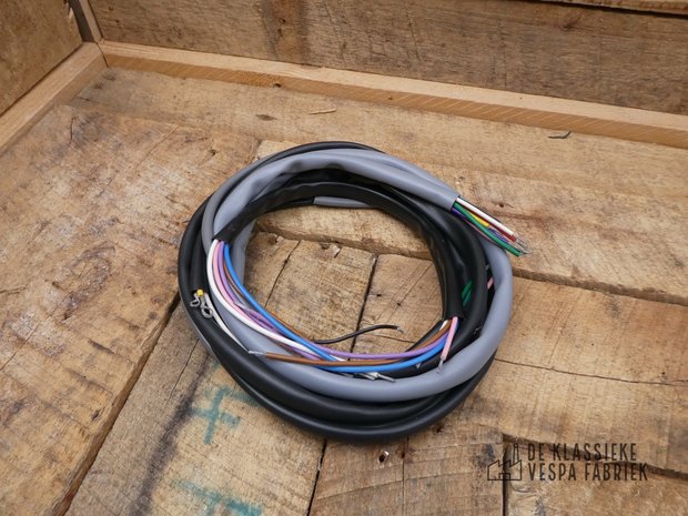 Wiring Loom GS150 VS1