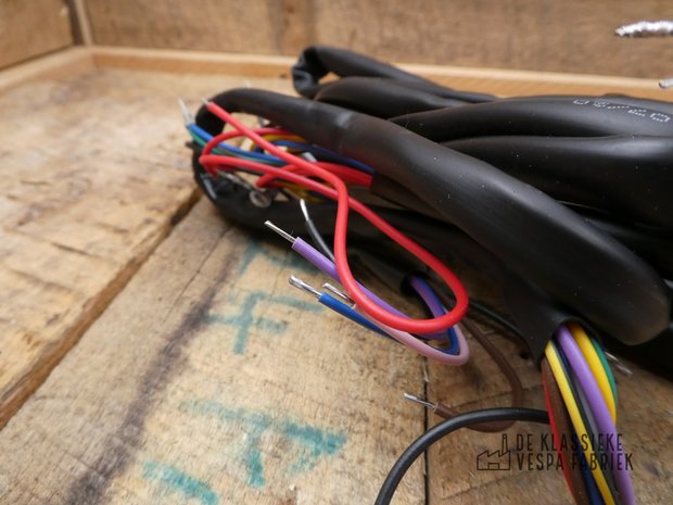 Wiring Loom GLX/ GLB